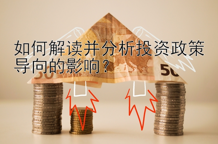 如何解读并分析投资政策导向的影响？