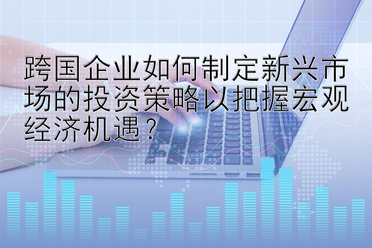 跨国企业如何制定新兴市场的投资策略以把握宏观经济机遇？