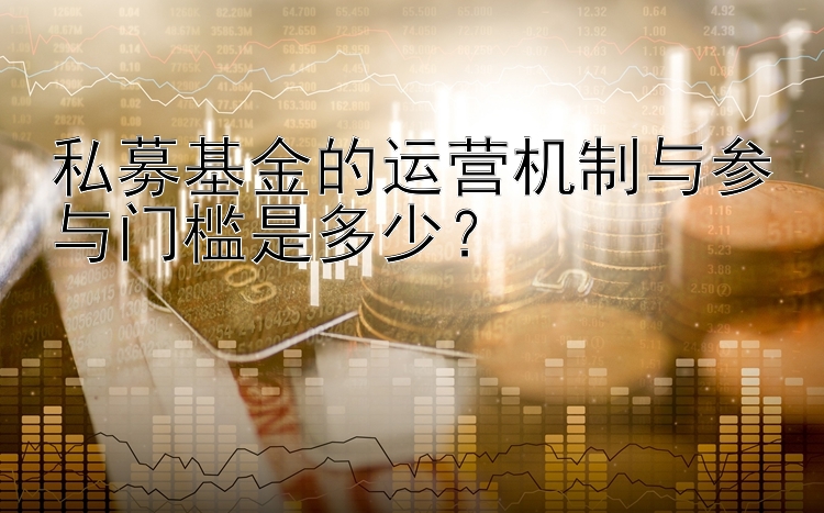 私募基金的运营机制与参与门槛是多少？