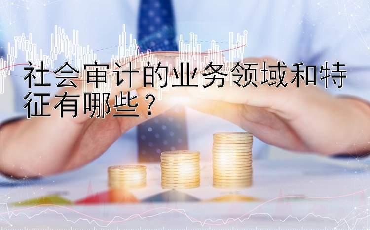 社会审计的业务领域和特征有哪些？