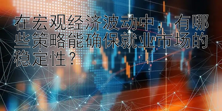 在宏观经济波动中，有哪些策略能确保就业市场的稳定性？