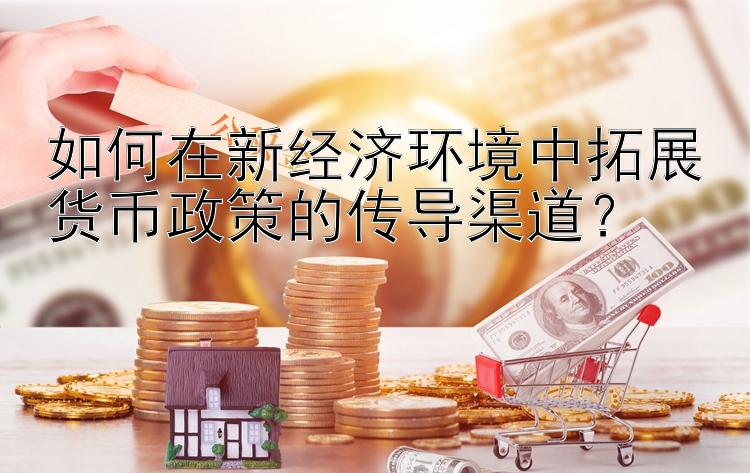 如何在新经济环境中拓展货币政策的传导渠道？