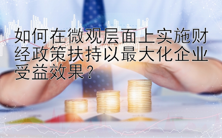 如何在微观层面上实施财经政策扶持以最大化企业受益效果？