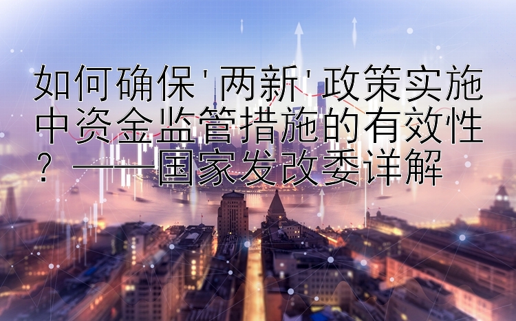 如何确保'两新'政策实施中资金监管措施的有效性？——国家发改委详解