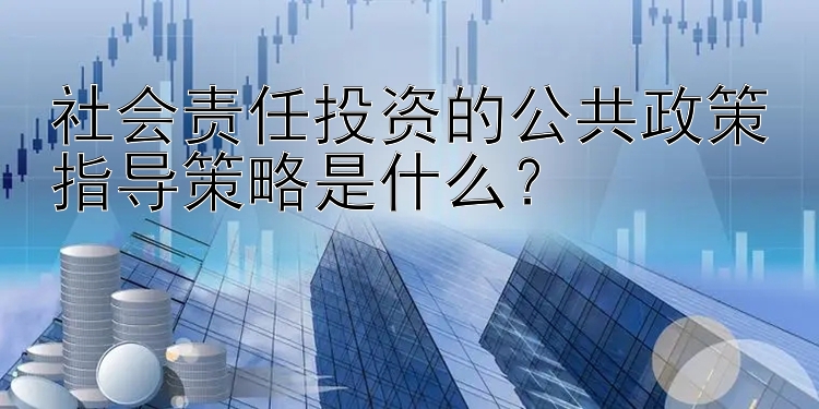 社会责任投资的公共政策指导策略是什么？