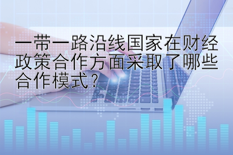 一带一路沿线国家在财经政策合作方面采取了哪些合作模式？