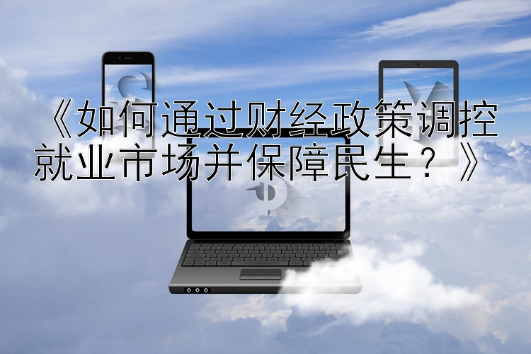 《如何通过财经政策调控就业市场并保障民生？》