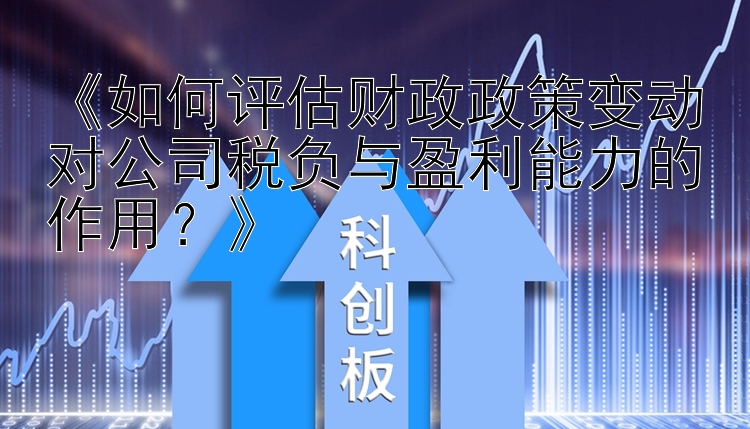 《如何评估财政政策变动对公司税负与盈利能力的作用？》