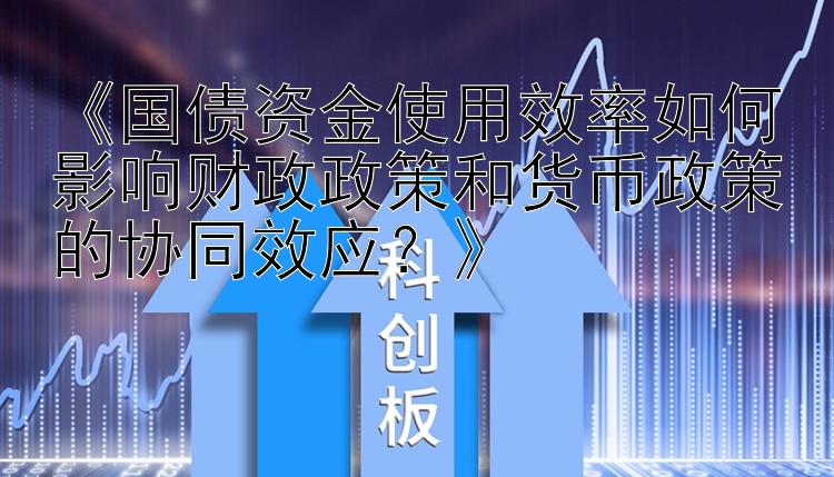 《国债资金使用效率如何影响财政政策和货币政策的协同效应？》