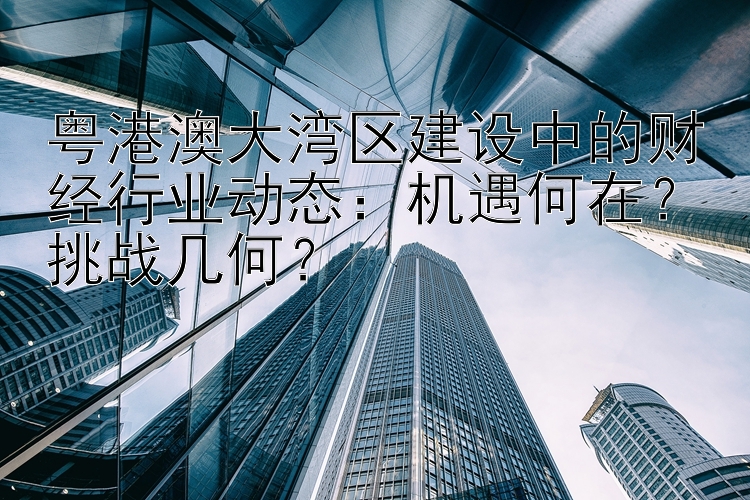 粤港澳大湾区建设中的财经行业动态：机遇何在？挑战几何？