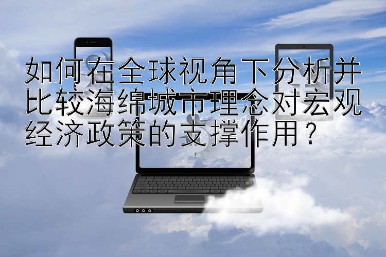 如何在全球视角下分析并比较海绵城市理念对宏观经济政策的支撑作用？