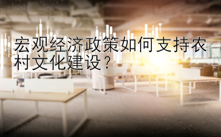 宏观经济政策如何支持农村文化建设？