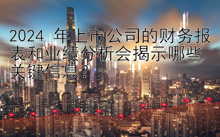 2024 年上市公司的财务报表和业绩分析会揭示哪些关键信息？