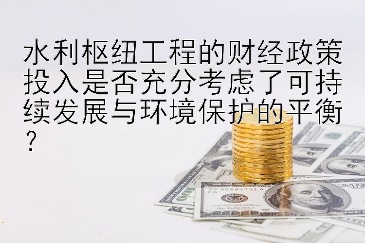 水利枢纽工程的财经政策投入是否充分考虑了可持续发展与环境保护的平衡？