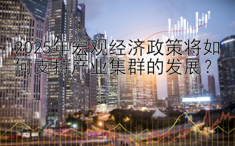 2025年宏观经济政策将如何支持产业集群的发展？