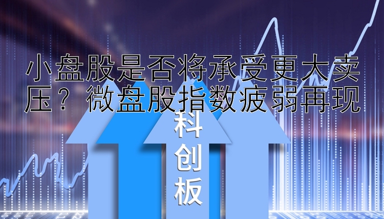 小盘股是否将承受更大卖压？微盘股指数疲弱再现