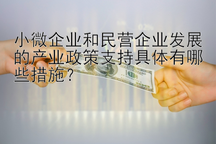 小微企业和民营企业发展的产业政策支持具体有哪些措施？